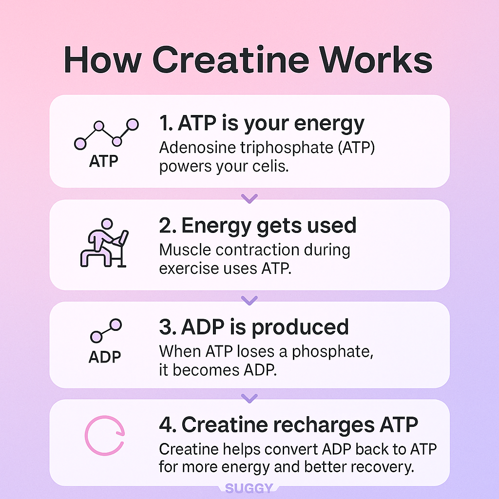 Creatine gummies - for women